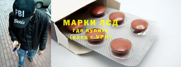 стаф Вязьма