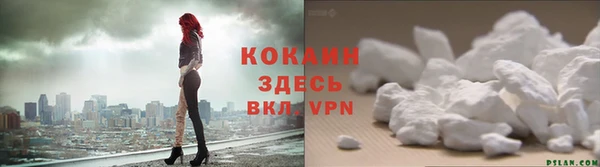стаф Вязьма
