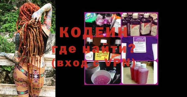стаф Вязьма