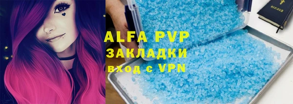 стаф Вязьма