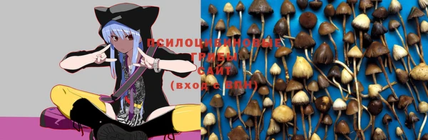 spice Тихвин