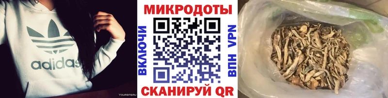 закладки  Горнозаводск  Галлюциногенные грибы мухоморы 
